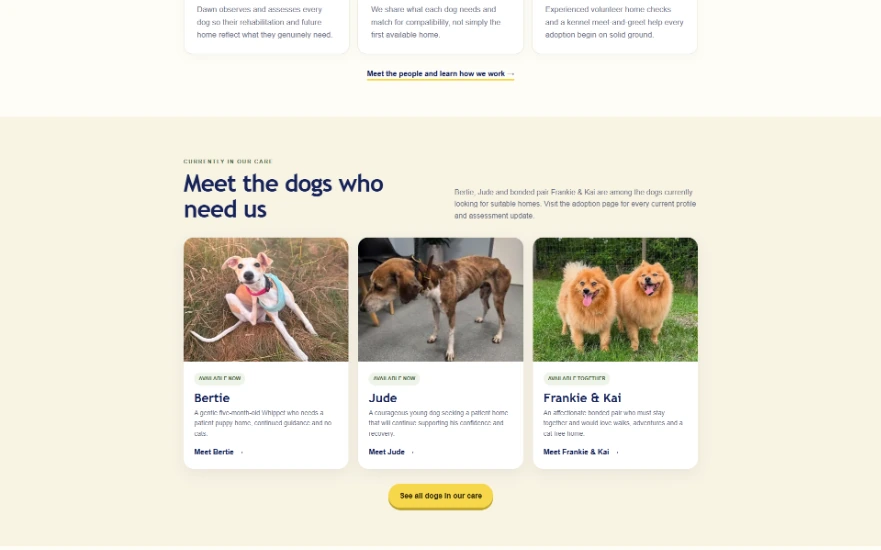 Congleton Dog Rescue dog profiles
